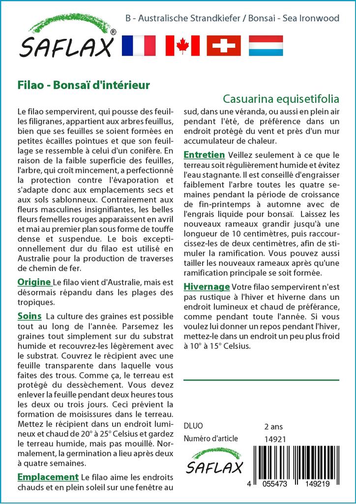 SAFLAX Бонсай - Sea Ironwood - 200 семян - Casuarina equisetifolia