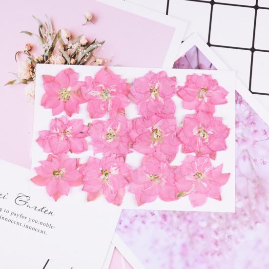 12Pcs Dried Flowers Creation Epoxy Resin DIY Pressed Long-lasting Dried Flowers