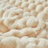 Coral Fleece Warm Blanket Soft Flannel Double-Sided Thick Golden Turtle Fleece Suitable For Bedroom Blankets