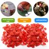 Красные Куриные Очки Пластиковые Устойчивые к Клеванию Очки для Перьев с Болтом Защитные Очки для Безопасности Птицы Куриные Аксессуары