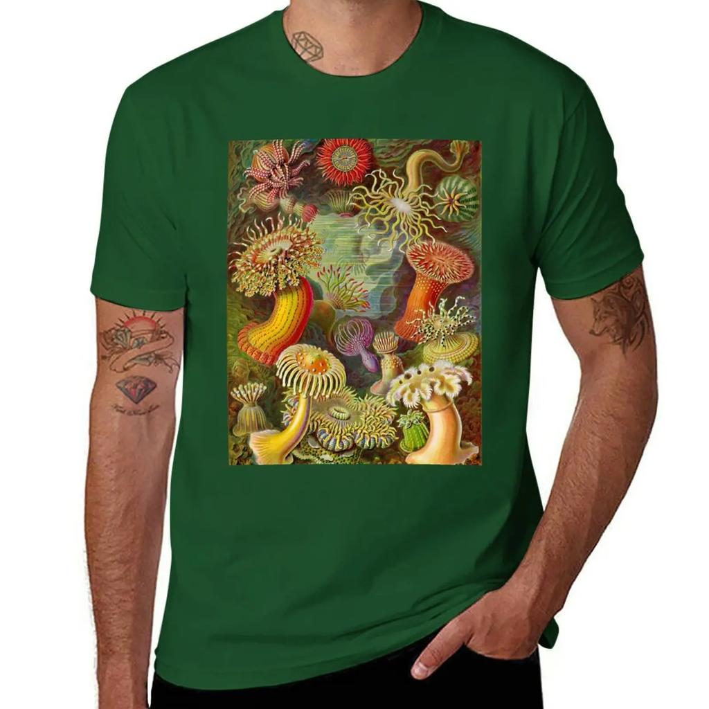 Sea anemone - Ernst Haeckel T-Shirt anime clothes shirts graphic tees Men's cotton t-shirt