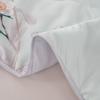 Duohuxi Washable Velvet Summer Quilt