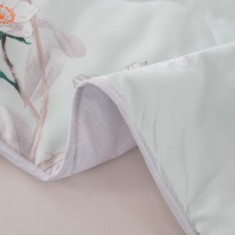 Duohuxi Washable Velvet Summer Quilt