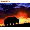 RUOPOTY Frameless Diy Paint By Numbers Animals Kit Acrylic Wall Art Picture By Numbers Canvas Painting For Home Decoration Arts