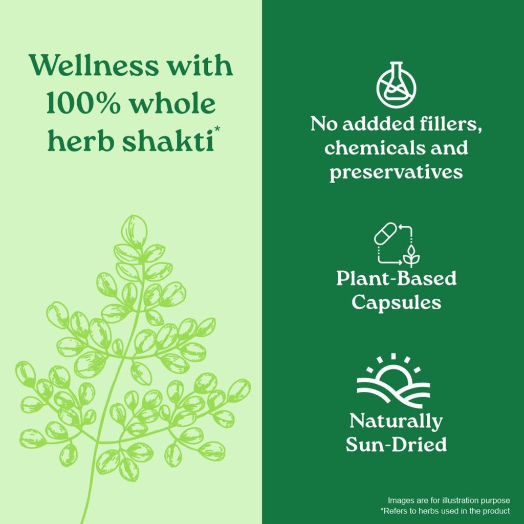 Organic India Moringa Capsules 60 Veg Capsules Pack of 2 with Free Sample for Energy Stamina Wellness Support