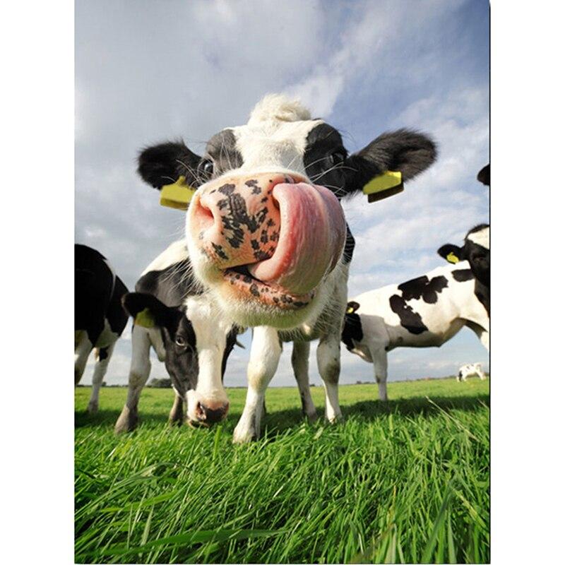 DIY 5D алмазная живопись полный круглый стразы корова вышивка крестом ферма животных мозаика Алмазная вышивка стены книги по искусству домашний декор