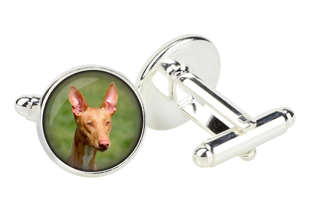 Pharaoh Hound, Kelb tal-Fenek - cufflinks in a box, handmade jewelry, product of the Art-Dog brand