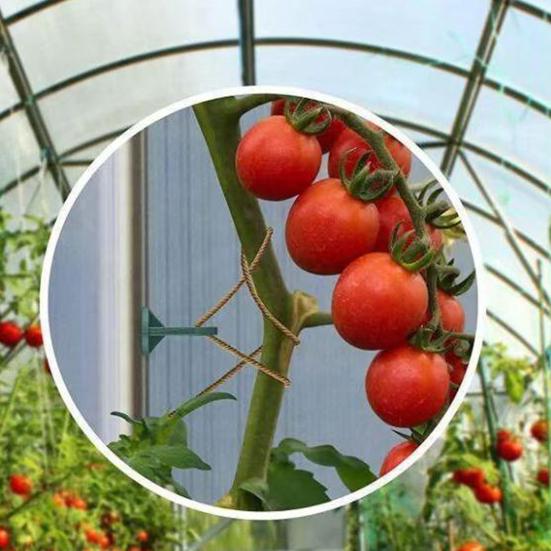 50 шт. Клипса-зажим для теплицы Прочный пластик Защелка-ползунок Многоцелевые опорные аксессуары Подвеска для горшечных растений Крепежные садовые принадлежности