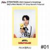 Stray Kids 2023 Новогодние поздравления Селфи Фотокарточка 4cut Photo JYP Shop Benefit