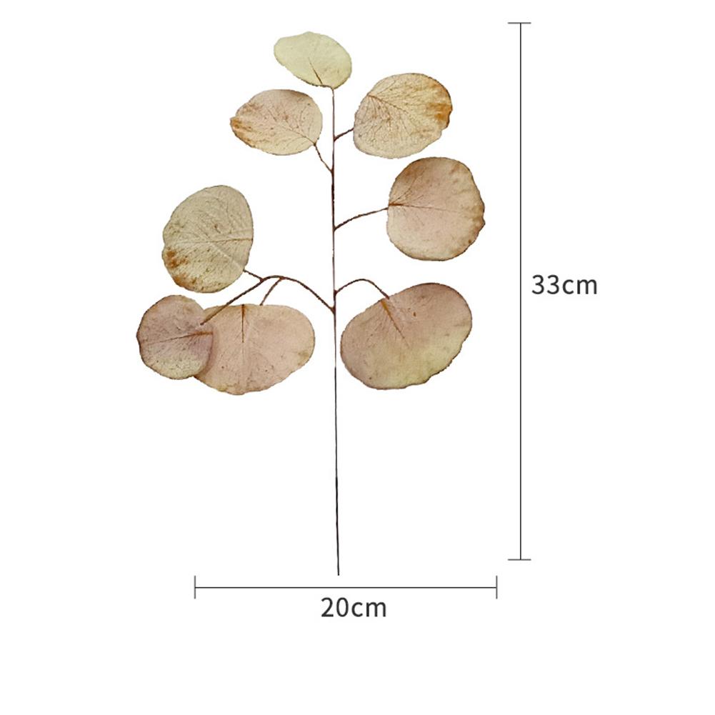 Simulation Eucalyptus Colored Leaves Photo Shoot Photography Background Props Tabletop Home Decor