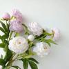 75 см Пионовые шелковые цветы Настольный декор 3 головки Искусственный букет пионов DIY Длинная ветка Симуляция цветов Домашний свадебный декор
