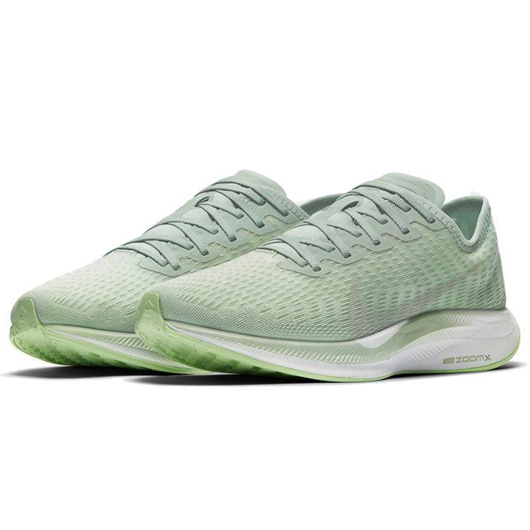 Nike Zoom Pegasus Turbo 2 Women's AT8242-301