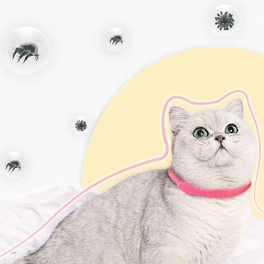 Adjustable Cat With Effective Removal Of Flea Mite Lice Insecticide Mosquito Quadruple Effect