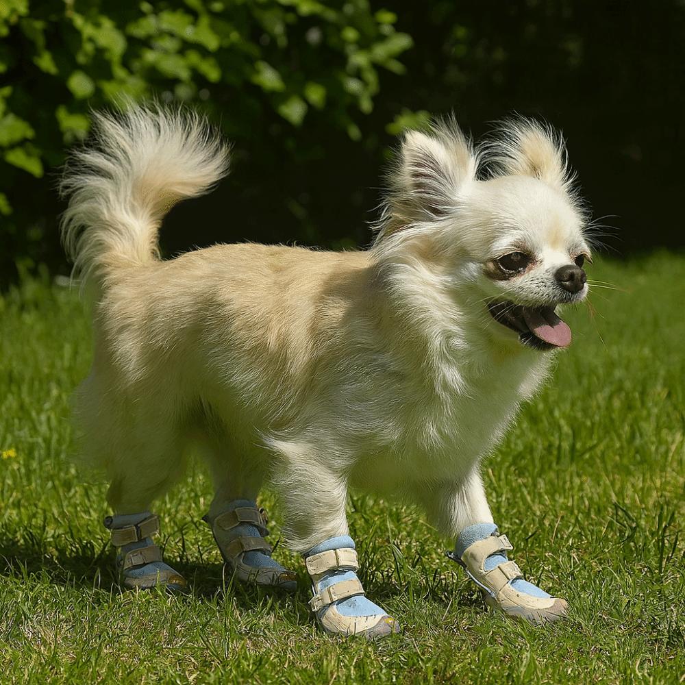 4pcs/set Warm Dog Cotton Shoes Breathable Dog Snowshoes Non-Slip Dog Shoes Autumn Winter