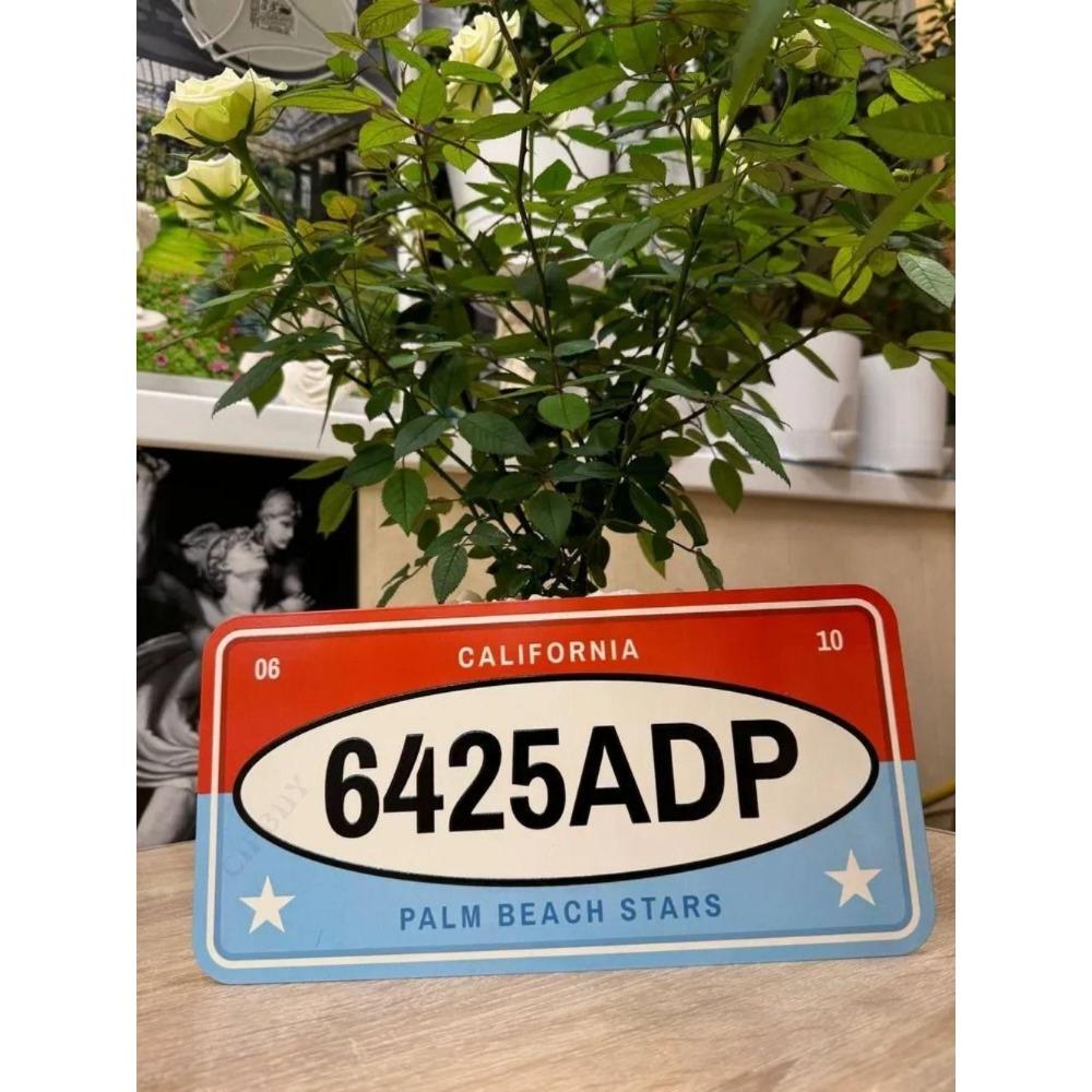 U.S. License Plate, U.S. Car License Plate, Metal, 15x30 Cm.