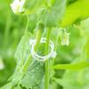 Secured Plastic Plant Clips Plant Fixing Buckle Clips Smooth Edge Vine Design Garden Plant