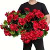 1шт имитация бегонии искусственный цветок для дома гостиная герань шелковый цветок