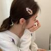 Acid Gifts Hair Barrettes Female Barrettes Korean Style Hairpin Hair Accessories Wave Hair Clip