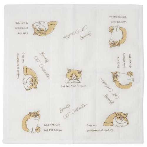 Koji Company Dishcloth, Made In Japan, Kaya Fabric, Cotton and Rayon, Exotic Shorthair, 30x30cm, White, 174017