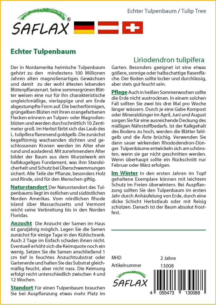 SAFLAX Тюльпановое дерево - 20 семян - Liriodendron tulipifera