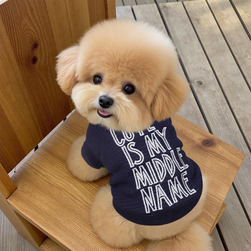 Pet dog winter clothes with fleece and thicker inside, warm bipods, cute English embroidered clothes