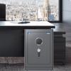 TIGER Jinming Series Smart Home & Office Security Safe