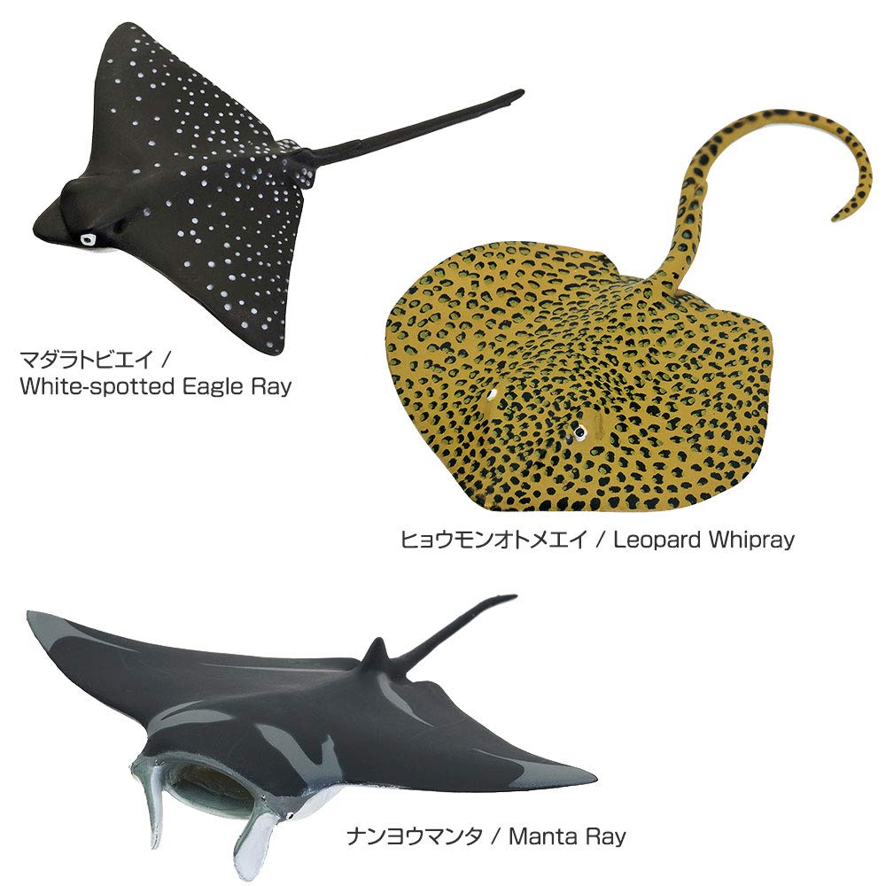 COLORATA 3D Illustrated Book Shark Friends Figures Types Instruction Manual and Stand Realistic Toy Birthday Gift Present Sanitation Law Real Figure