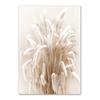 Nature Scenery Wall Art Poster and Prints Beige Bunny Tail Grass Reed Flower Leaf Canvas Painting Pictures for Living Room Decor