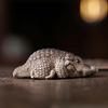 Lovely Alligator Crocodile Kung Fu Tea Pet Mini Crocodile Miniatures Pet Model  Table Desk