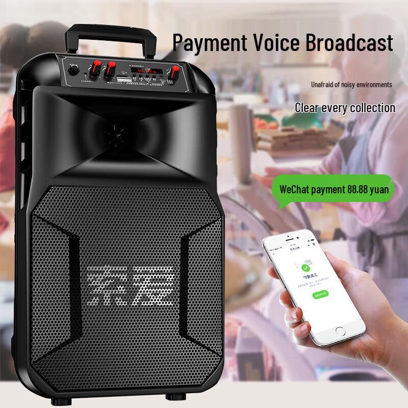 SA-T25 Portable High-Power Outdoor KTV Speaker