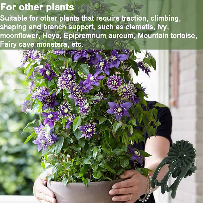 100 шт. вьющихся растений виноградная лоза орхидея фиксация опорные зажимы инструменты садовые цветочные стебли шпалерные зажимы