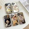 Смешной чехол для телефона с изображением домашних кошек для iPhone 17, 16, 15, 14, 13, 12, 11 X XR Plus, Другие Мягкая черная крышка