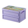 Tiemuyun Portable Camping Storage Box