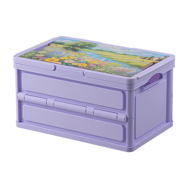 Tiemuyun Portable Camping Storage Box