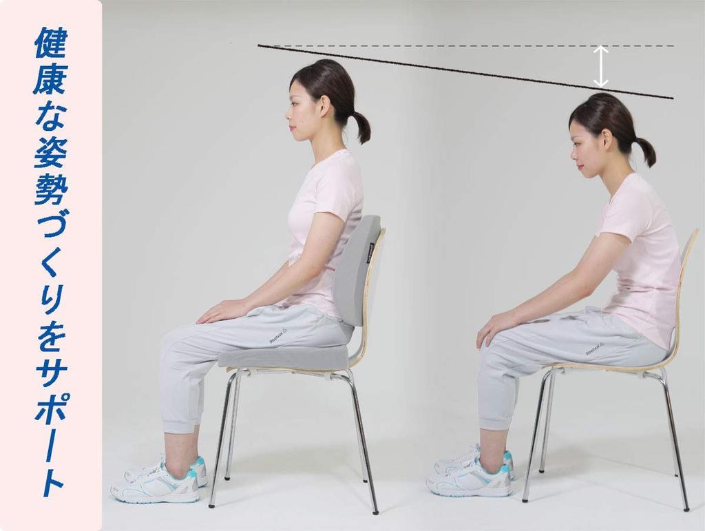 Back Hugger Trad Lumbar Support Cushion Back Rest Waist Rest Velor Posture Support (Black)