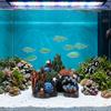 Ocean Color Fish Tank Ornament Irregular Shape Resin Rock Cave  Fish Tank Landscaping