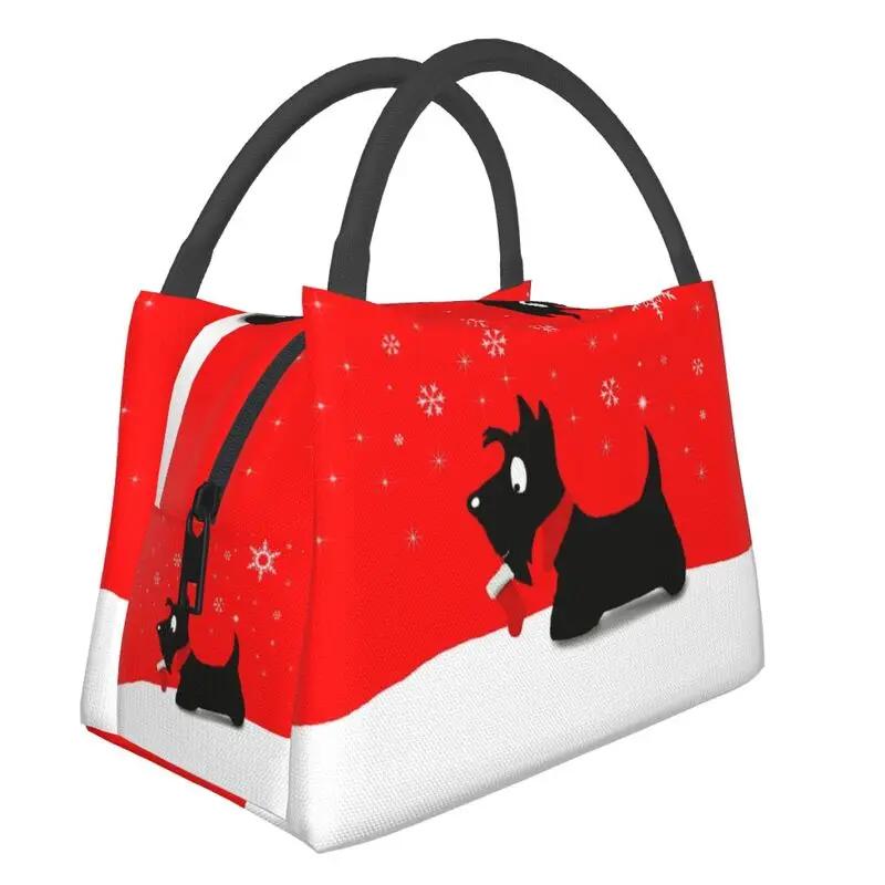 Шотландский терьер наблюдает за бабочкой, изолированные сумки для ланча для женщин, шотландская собака, портативный охладитель, термоконтейнер для еды, ланч-бокс