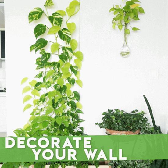 10 шт./компл., зажим для растений, бесплатная гибкая стена для скалолазания, фиксатор зеленых растений, крючок для виноградной лозы для сада