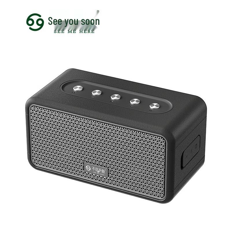 SEE ME HERE Wave W10 Portable Bluetooth Speaker CN plug (adapter included)