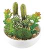 Kishima CT Catalyst Deodorizing Artificial Green Succulent Refrelium KH-60987