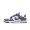 Dunk Low Mini Swoosh - World Indigo Женские кроссовки Фиолетовый Парус Металлик-серебристый IB4417-103