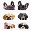 Милые наклейки для собак, водонепроницаемые виниловые наклейки, автомобильные аксессуары, деко, 1 шт., забавная наклейка на автомобиль, подходит для автомобилей, грузовиков, мотоциклов