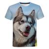 New Casual 3D Printed Dog Round Neck Short Sleeve Fashion Men's T-shirt Unisex Cute T-shirt