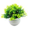 Artificial Plant Pot Ornamental Photo Props Plastic Desktop Fake Grass Plants for Outdoor