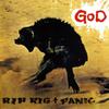 CD RIP RIG & PANIC - God VIVA001 Viva La Hop 2006 Не Япония Танцевальная и Электронная Музыка Б/У