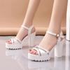 Fashion Thick Heeled Sandals Sexy High Heels Platform Sandals for Women Open Toe Crystal Buckle Pumps Wedding Stripper Shoes