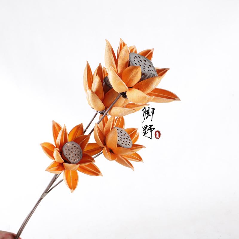 Bauhinia Lotus Pod Bouquet: Natural Air-Dried Flowers for Zen Decor