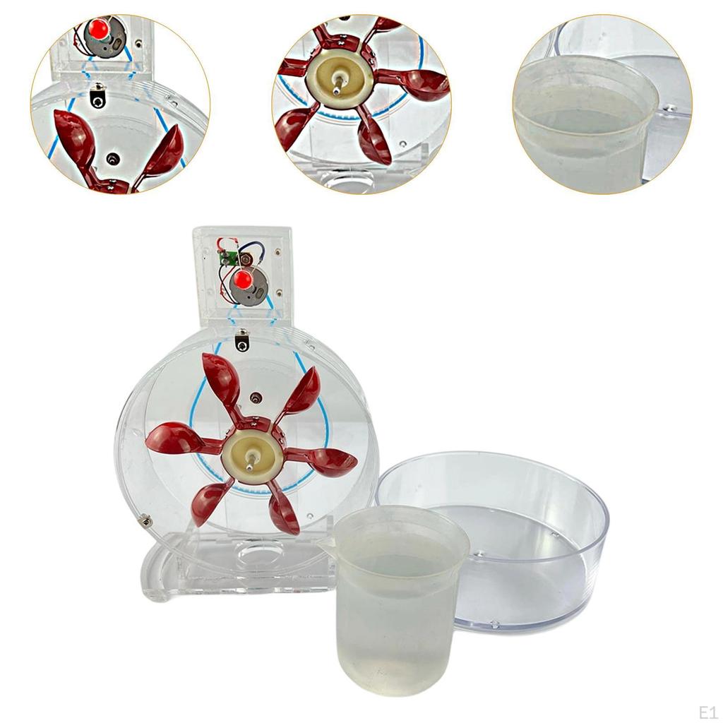 Демонстратор принципа мощности Физический научный эксперимент Набор электрический Набор для школы