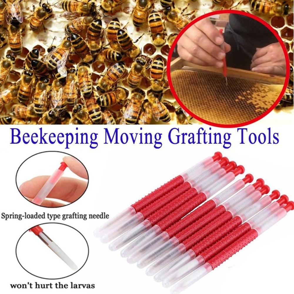Plastic Insect Beekeeping Grafting Equipment Transfer Needle Grafting Tool Larva Apiculture