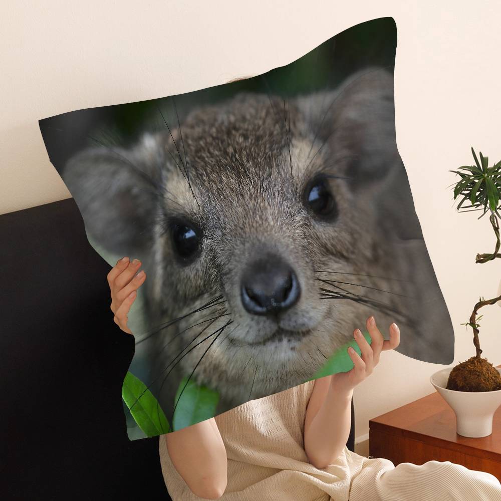 Rock Hyrax Animal Cushion Cover Pillow Cover Decor Pillowcase Printed Cushion Case for Couch